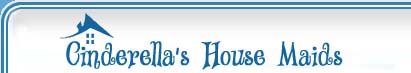 Cleaning Company